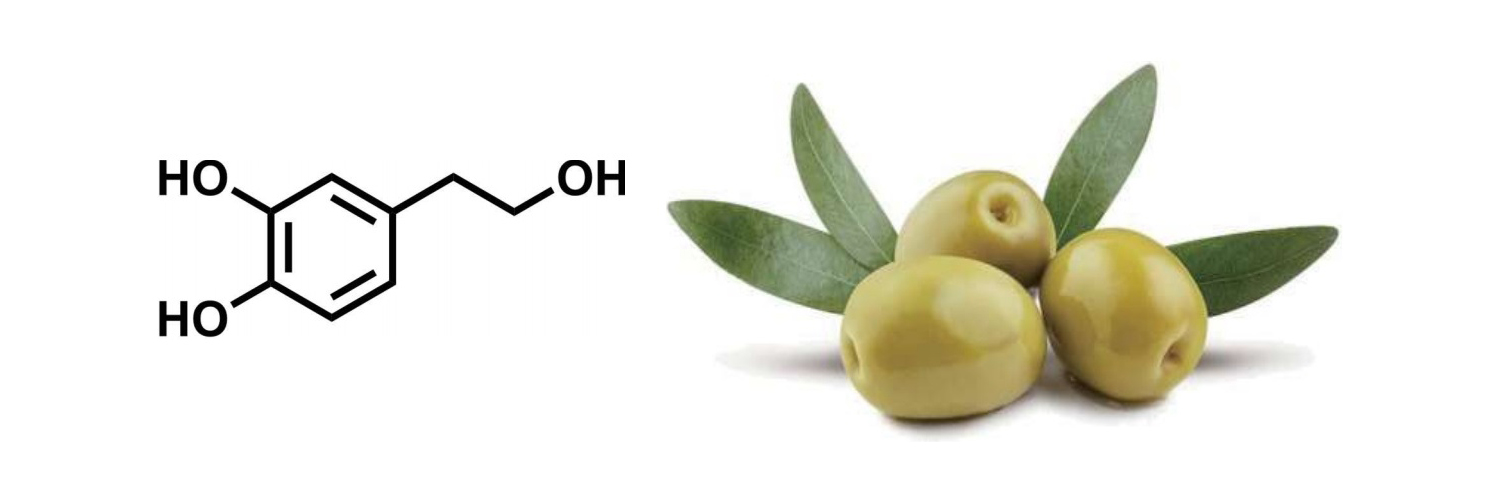 Hydroxytyrosol - สุดยอดภูมิคุ้มกันเพื่อสุขภาพที่ดียิ่งขึ้น