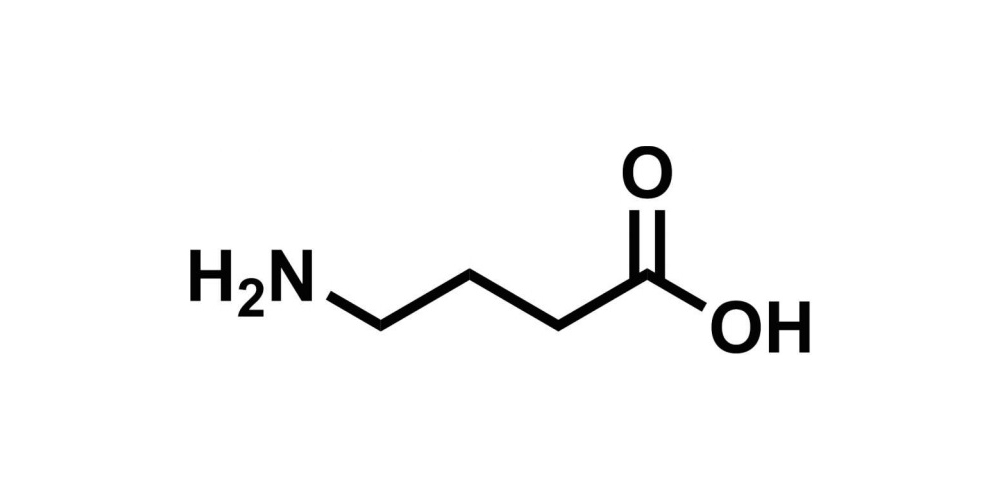 γ-AMINOBUTYRIC ACID